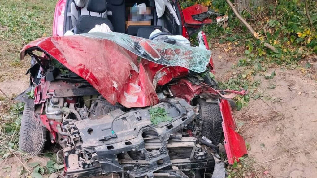 356 273596 2025 08 22 113955