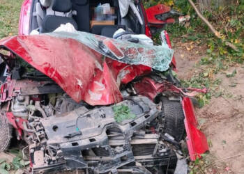 356 273596 2025 08 22 113955