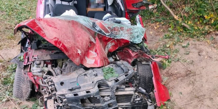 356 273596 2025 08 22 113955