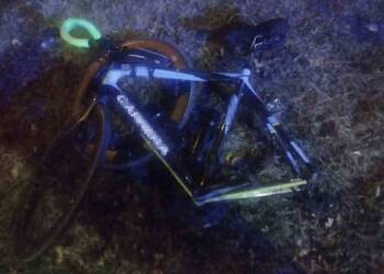 358 273500 2025 08 19 222306