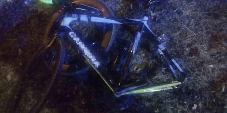 358 273500 2025 08 19 222306