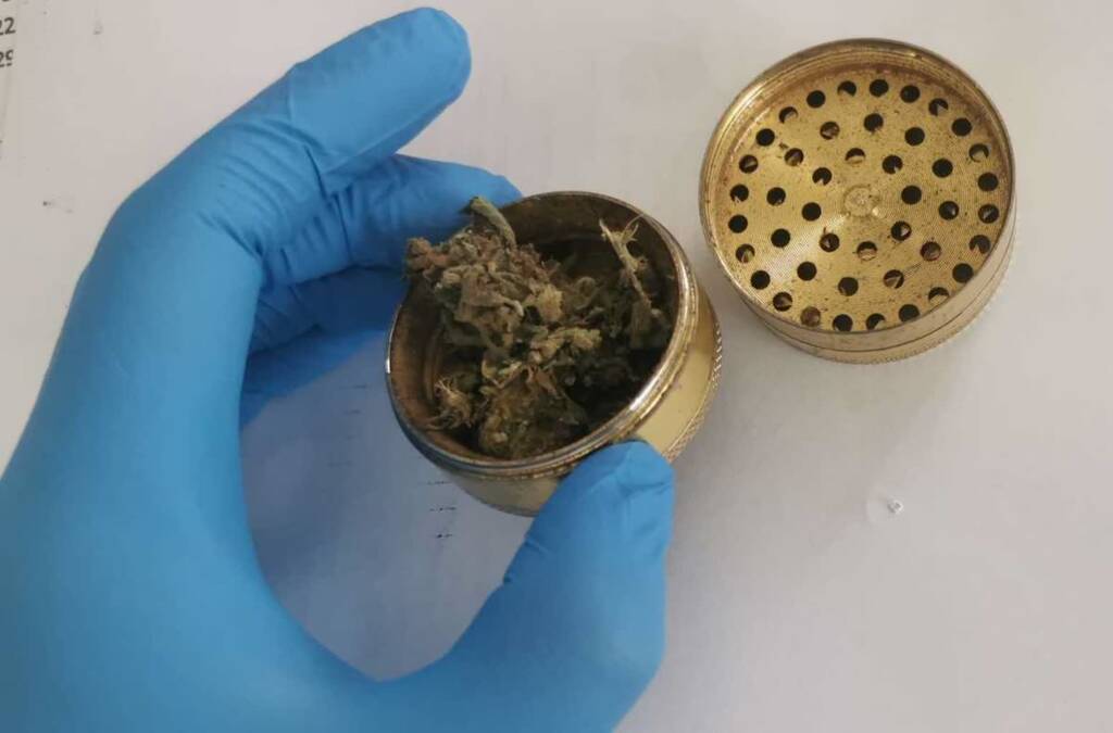 359 273599 2025 08 23 090254