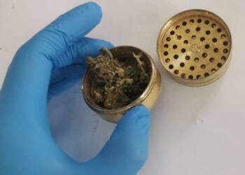 359 273599 2025 08 23 090254