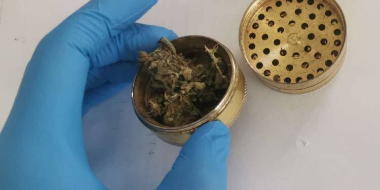 Poszukiwany zatrzymany. Miał przy sobie narkotyki 1 359 273599 2025 08 23 090254