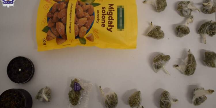 361 273400 2025 08 18 085052