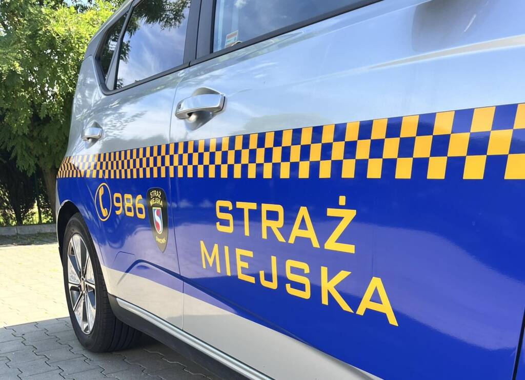 524309347 695281296846779 7286680439827630001 n 1