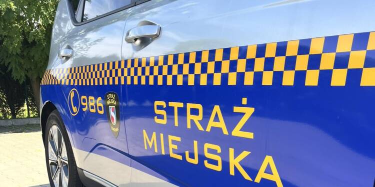 524309347 695281296846779 7286680439827630001 n 1