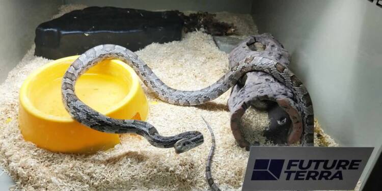 524515219 1796188424339818 2711618408000316234 n 2025 08 10 102519