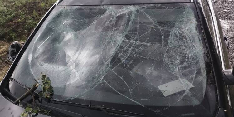 527761866 678217885229747 3027390358997255483 n 2025 08 03 200609