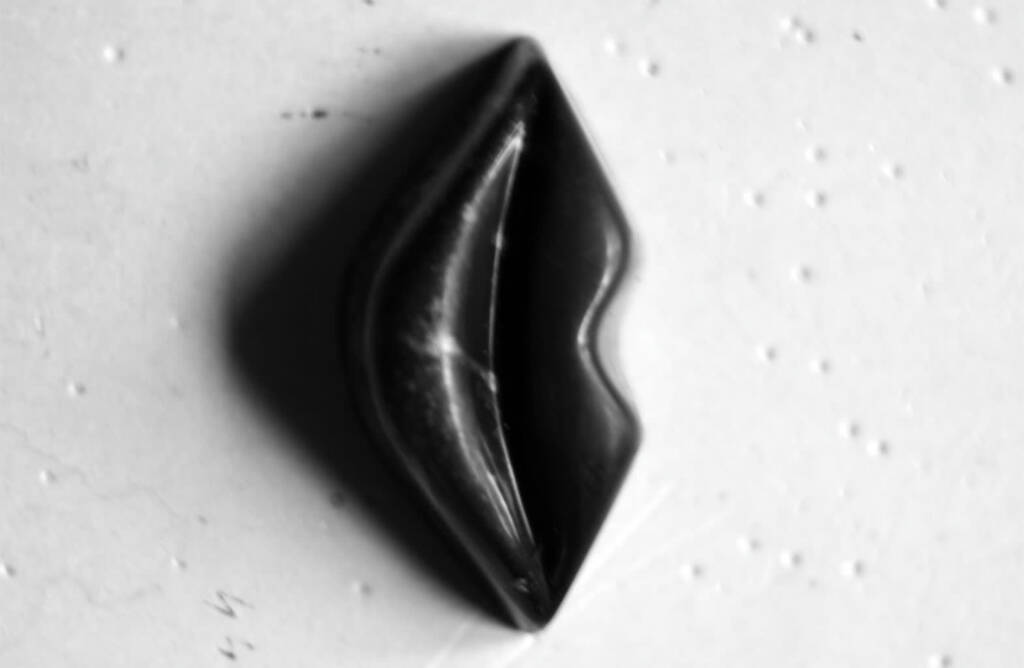 528258743 122240141378230096 2854693881872984448 n 2025 08 21 215246