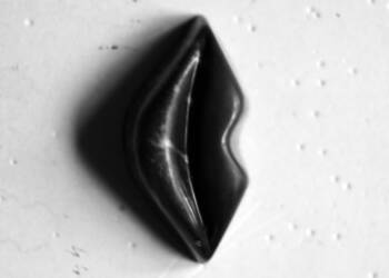 528258743 122240141378230096 2854693881872984448 n 2025 08 21 215246