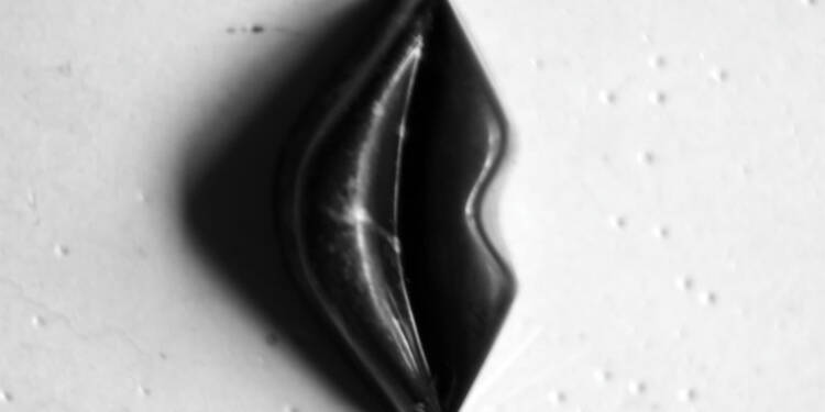 528258743 122240141378230096 2854693881872984448 n 2025 08 21 215246