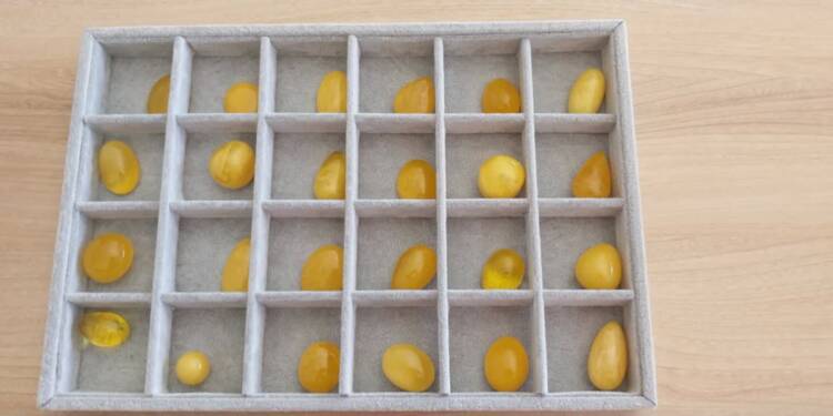 528273890 4455306544755470 5231992531562562921 n 2025 08 06 091852 2025 08 12 145206