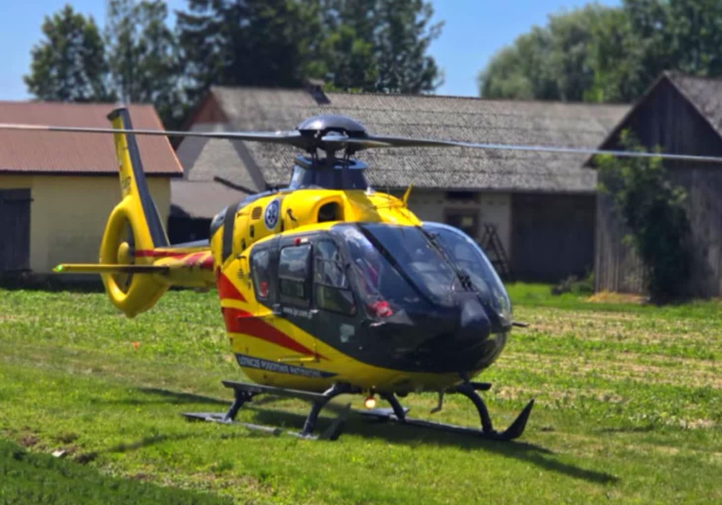 Czterolatka zaatakowana przez psa