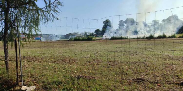 530277912 775763511659253 3974858113020807311 n 2025 08 09 194516