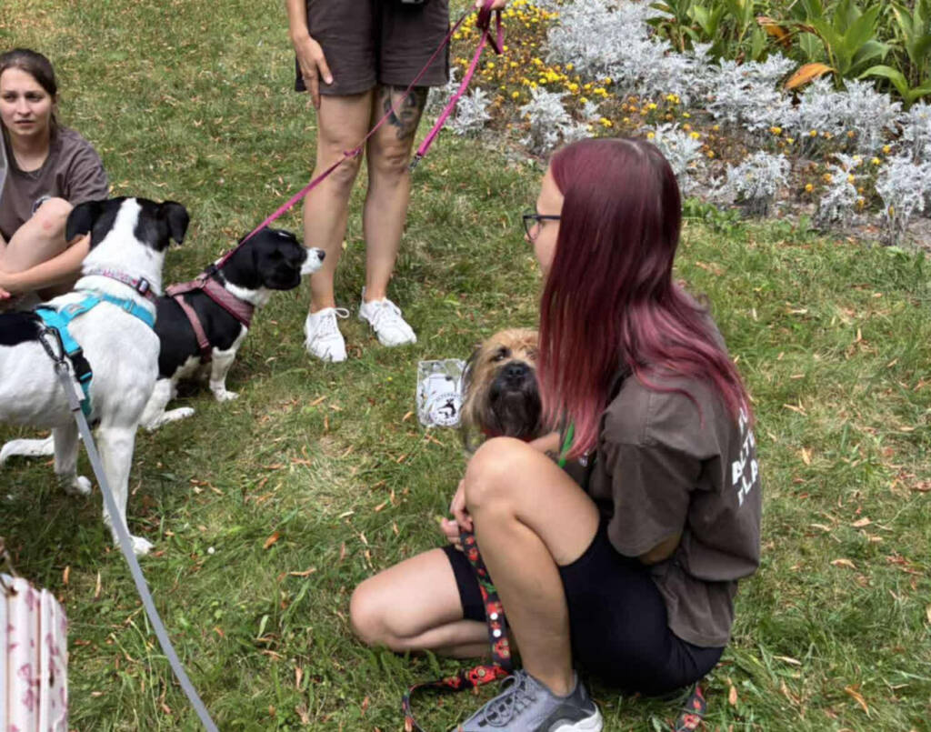 531420273 802168682347148 4803241639316063981 n 2025 08 17 213443