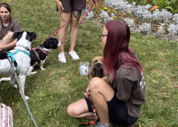 531420273 802168682347148 4803241639316063981 n 2025 08 17 213443