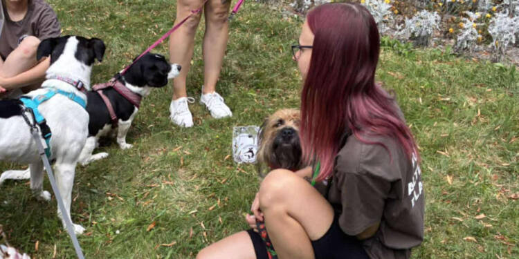 531420273 802168682347148 4803241639316063981 n 2025 08 17 213443