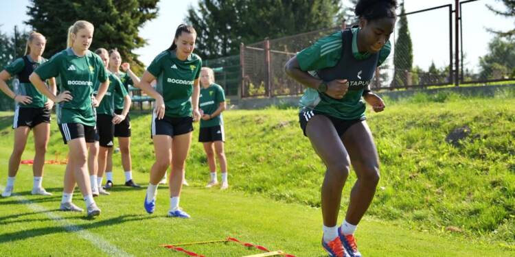 532645474 1284545236877279 8819837693846328629 n 2025 08 15 204147