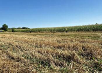 534636548 1067653475538033 805755377349319869 n 2025 08 20 092129