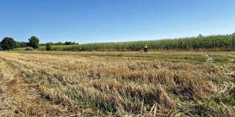 534636548 1067653475538033 805755377349319869 n 2025 08 20 092129