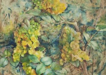 536271900 1295092662403893 1110625388259364342 n