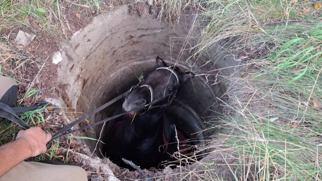 538766523 1079951827658114 6905075422435248831 n 2025 08 25 205201