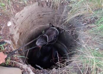 538766523 1079951827658114 6905075422435248831 n 2025 08 25 205201