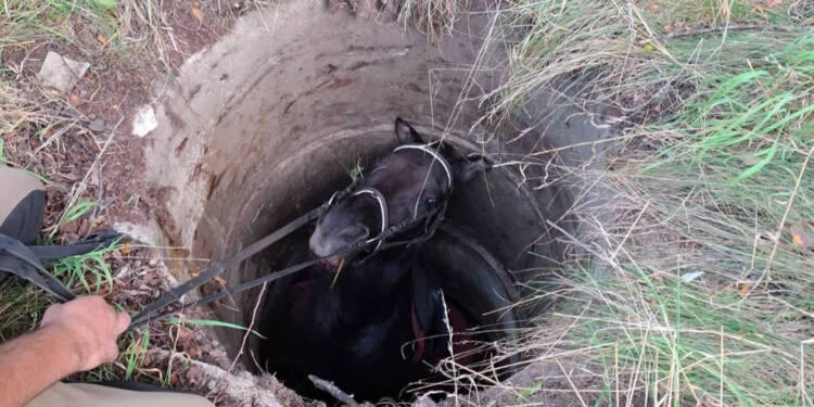 538766523 1079951827658114 6905075422435248831 n 2025 08 25 205201