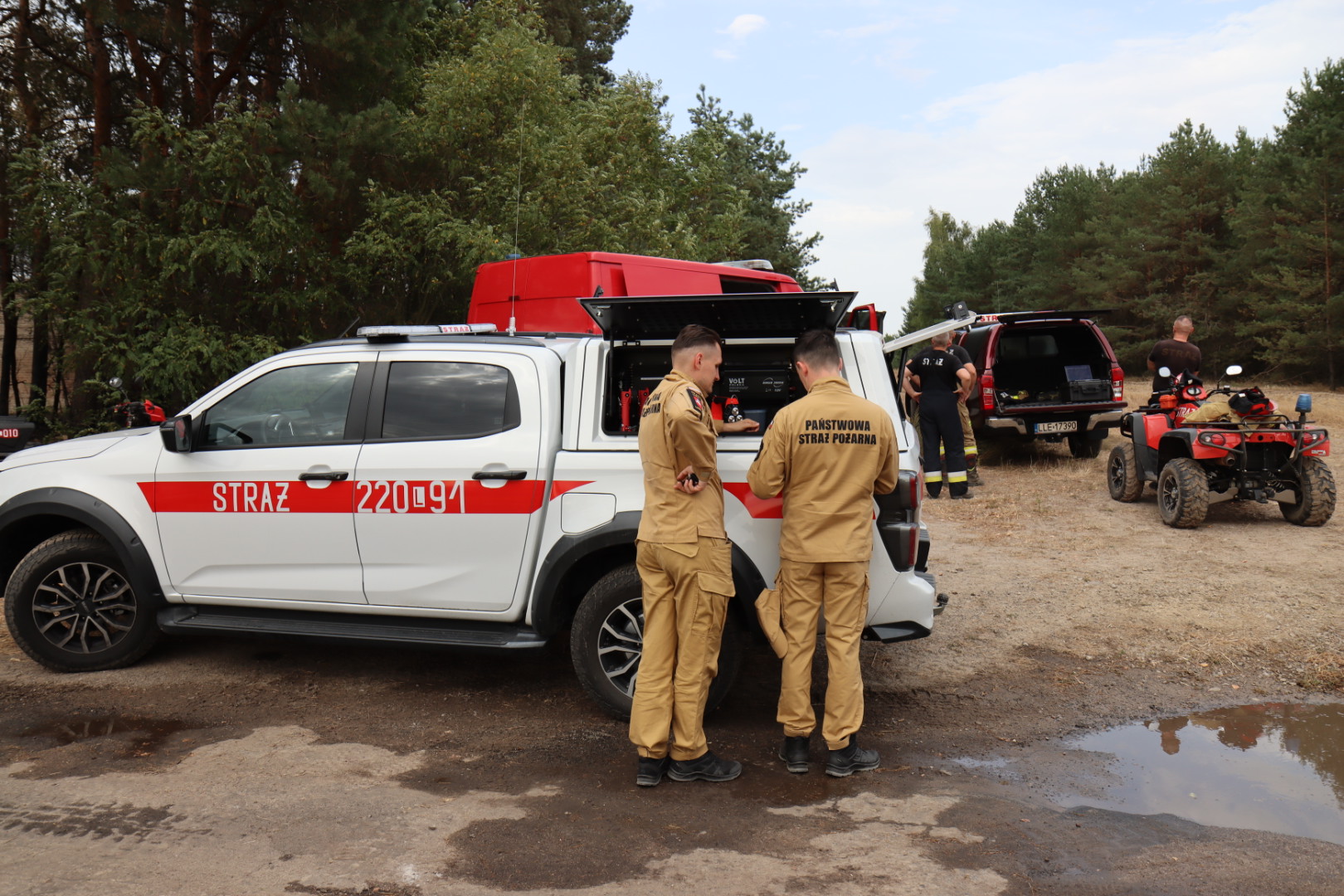 Duży pożar lasu. Strażacy wciąż pracują