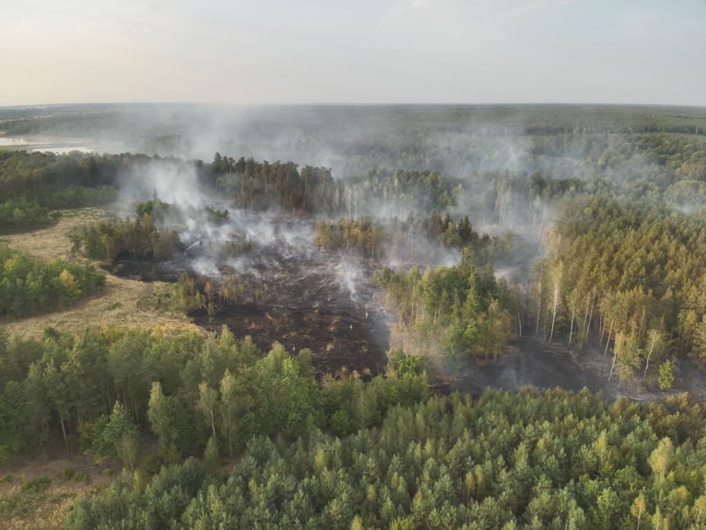 540944091 1223970073081160 4055011632829304741 n