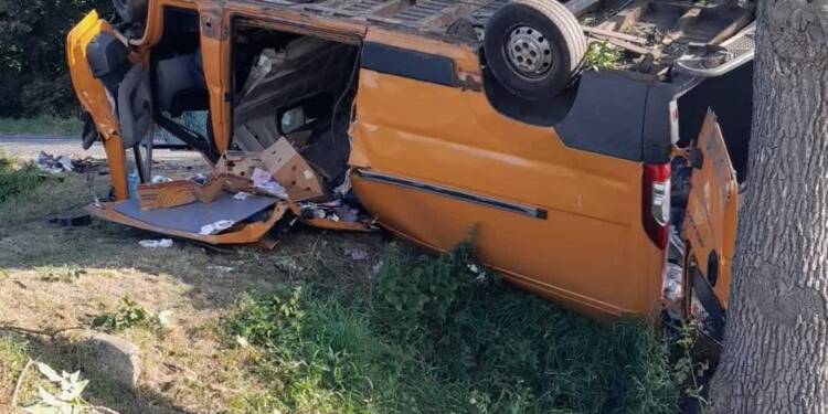 68 273399 2025 08 17 210656