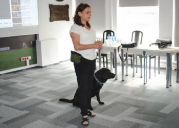 700x450 toheight 90 glowne pies przewodnik 1 2025 08 26 151641