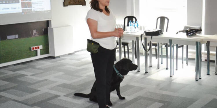 Pacjent z psem przewodnikiem. Szkolenie w szpitalu wojewódzkim 1 700x450 toheight 90 glowne pies przewodnik 1 2025 08 26 151641