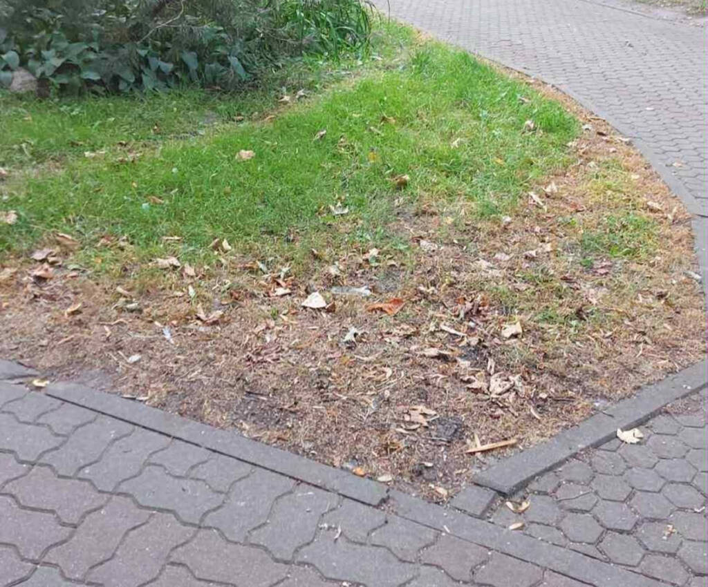 796abc4f 9f6e 466c b9aa 258af346ffa9 2025 08 12 215805