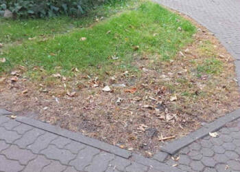 796abc4f 9f6e 466c b9aa 258af346ffa9 2025 08 12 215805