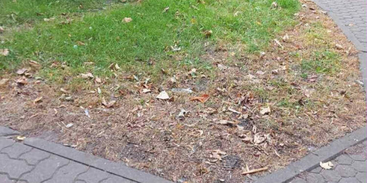 796abc4f 9f6e 466c b9aa 258af346ffa9 2025 08 12 215805