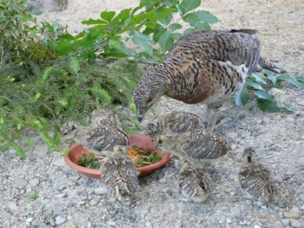 article 2025 08 26 201751