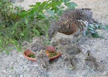 article 2025 08 26 201751