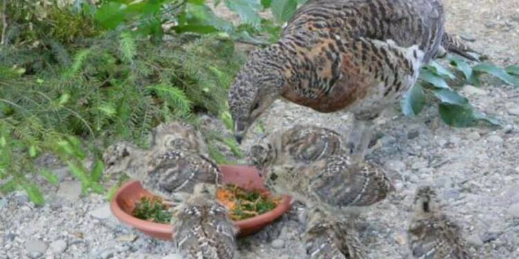 article 2025 08 26 201751