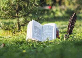 book 3692572 1280 2025 08 02 012310