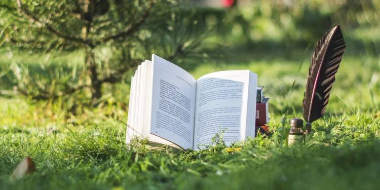 book 3692572 1280 2025 08 02 012310