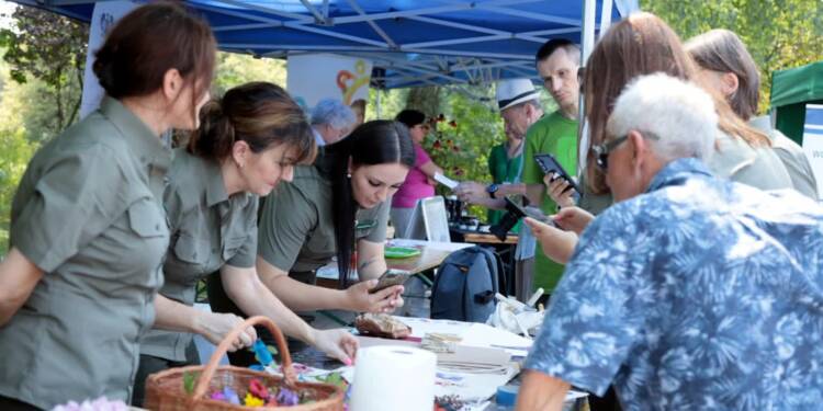 botanika 1 2025 08 03 173414