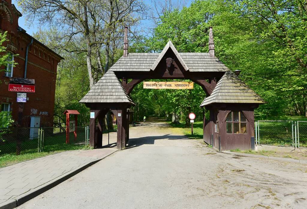 brama do bialowieskiego parku narodowego w bialowiezy 2019 2025 08 11 071929