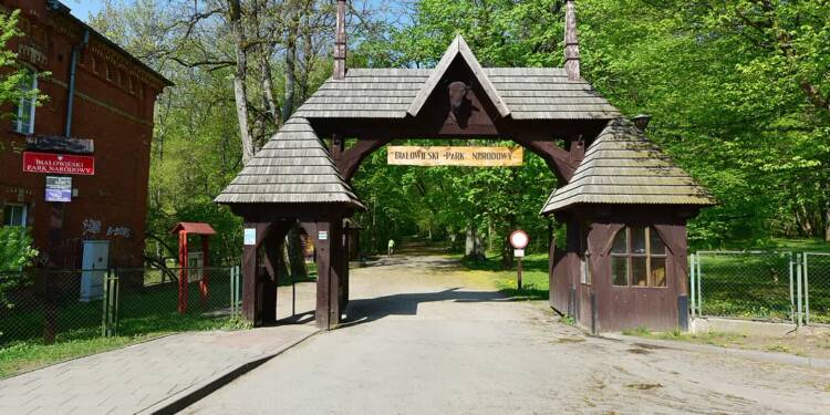brama do bialowieskiego parku narodowego w bialowiezy 2019 2025 08 11 071929