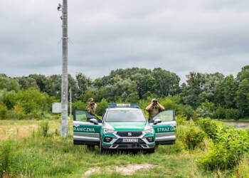 bug 2025 08 22 160009