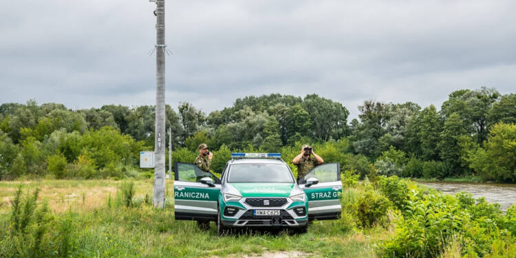 bug 2025 08 22 160009