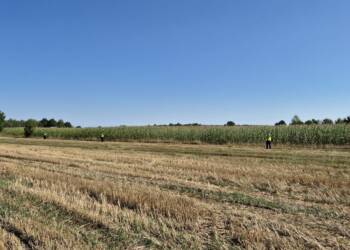 dron1 2025 08 20 133041