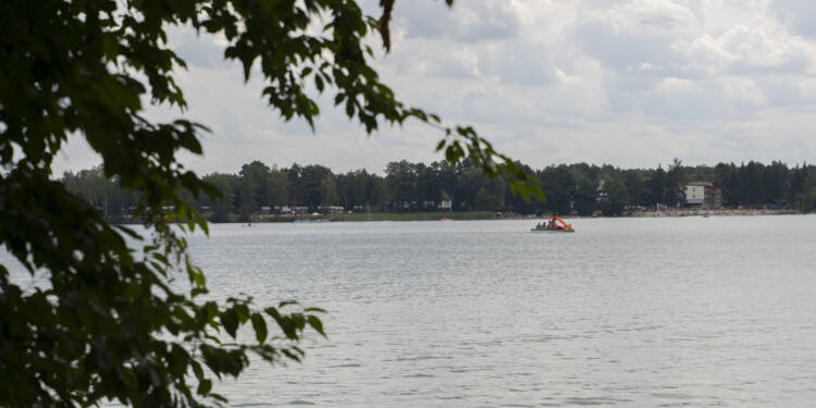 dsc01219 2025 08 06 063439