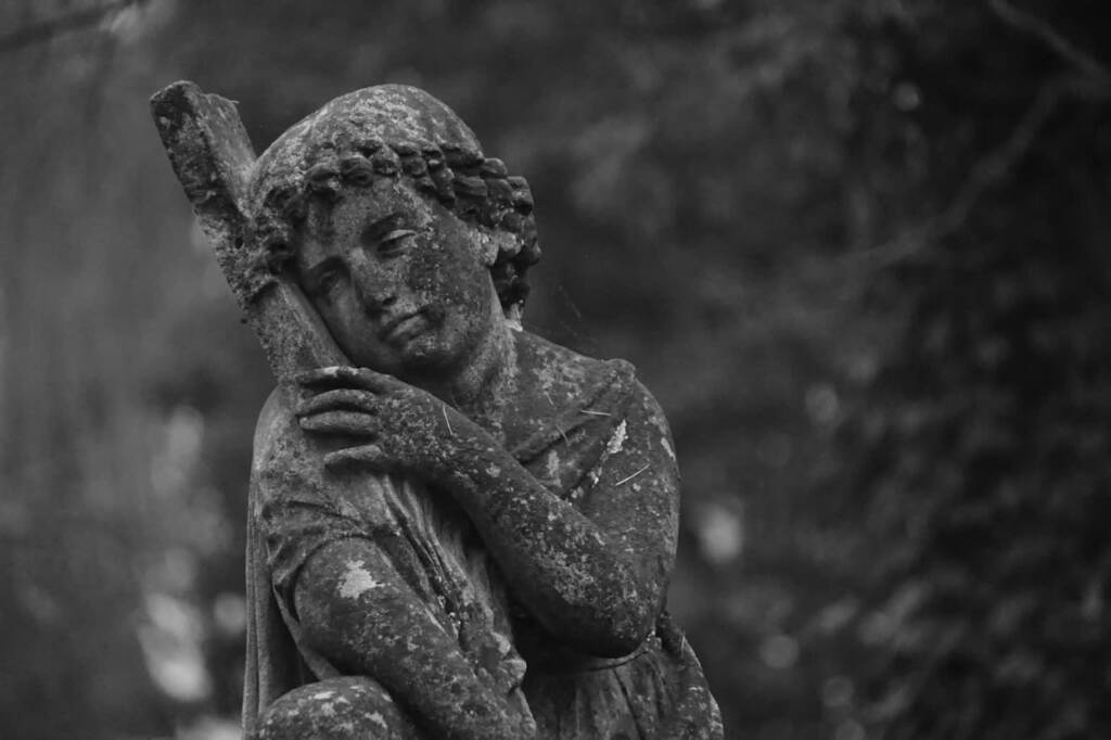 dsc02990 2025 08 07 171904